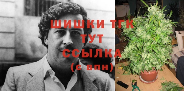ПСИЛОЦИБИНОВЫЕ ГРИБЫ Лабытнанги