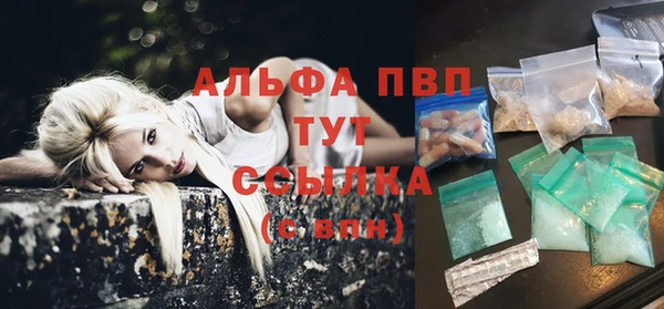 СК Ладушкин