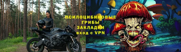 СК Ладушкин
